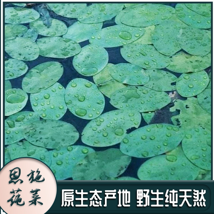 主图5.JPG